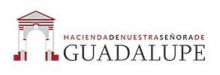 HACIENDA NUESTRA SEÑORA DE GUADALUPE en ALCALA DE GUADAIRA