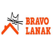 Bravo Lanak. Reparación de tejados y fontanería Bilbao en Bilbao